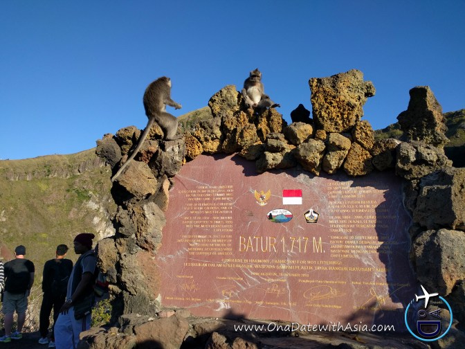 indonesia_trip_chelsea3